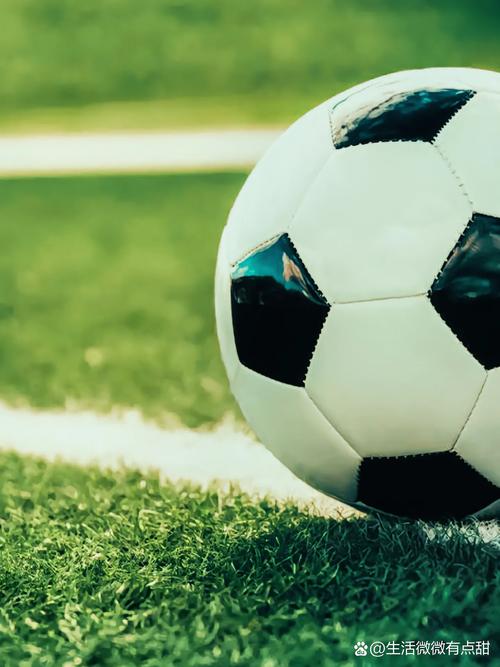 海外华人观赛场景