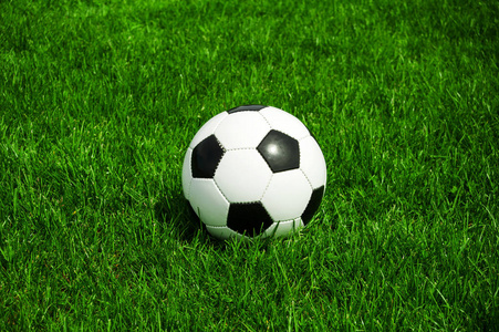 个人球迷观赛场景