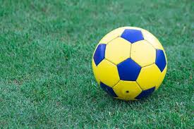 体育分析师工作场景