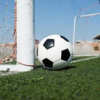 家庭娱乐观赛场景